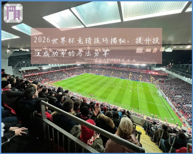 2026世界杯竞猜技巧揭秘，提升投注成功率的方法分享