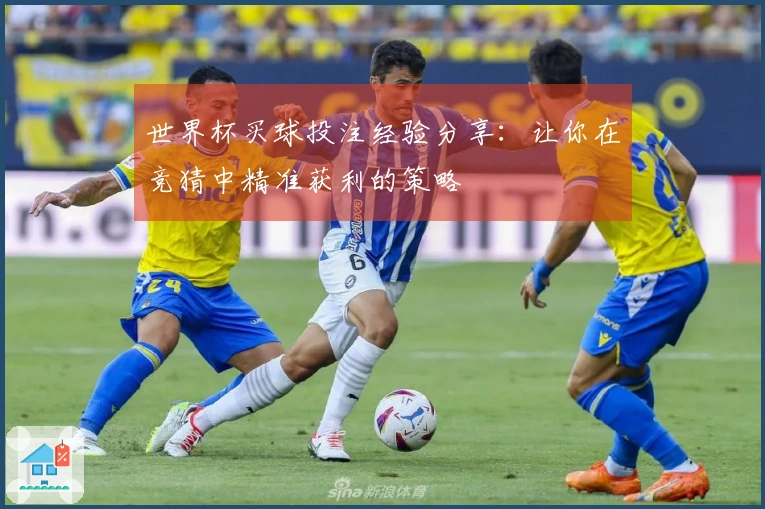 世界杯买球投注经验分享：让你在竞猜中精准获利的策略