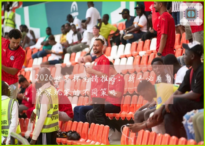 2026世界杯竞猜推荐：新手必看与资深玩家的不同策略