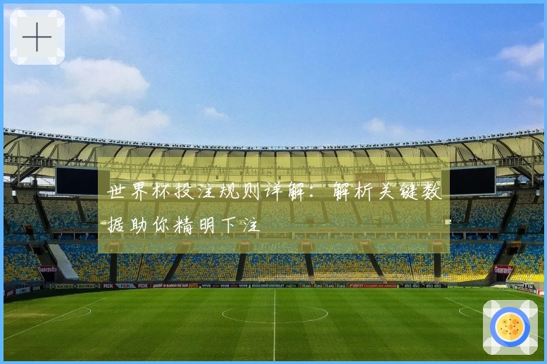 世界杯投注规则详解：解析关键数据助你精明下注