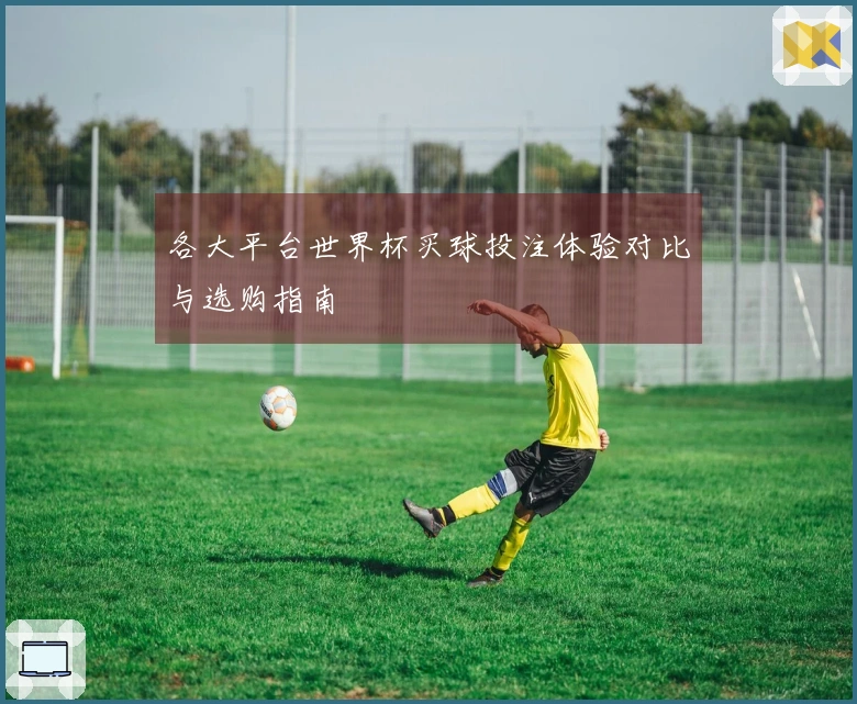 各大平台世界杯买球投注体验对比与选购指南