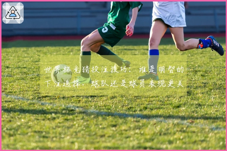 世界杯竞猜投注技巧：谁是明智的下注选择，球队还是球员表现更关键