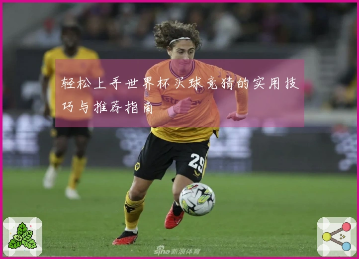 轻松上手世界杯买球竞猜的实用技巧与推荐指南