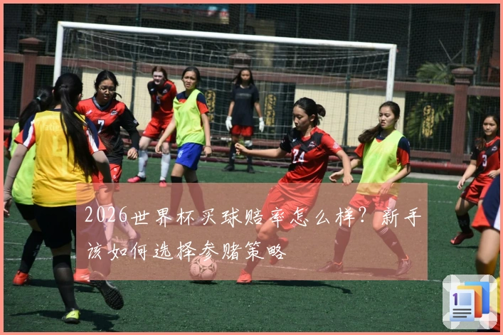 2026世界杯买球赔率怎么样？新手该如何选择参赌策略