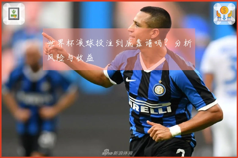世界杯滚球投注到底靠谱吗？分析风险与收益