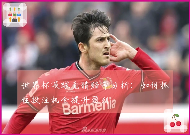 世界杯滚球竞猜赔率分析：如何抓住投注机会提升盈利