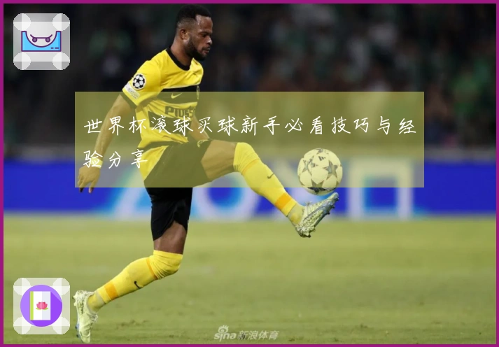 世界杯滚球买球新手必看技巧与经验分享