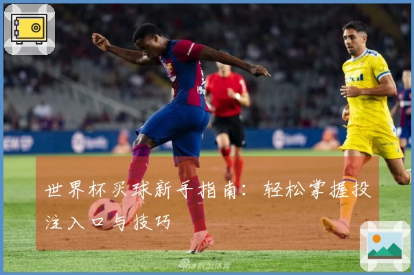 世界杯买球新手指南：轻松掌握投注入口与技巧