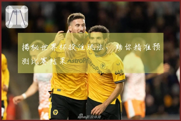 揭秘世界杯投注玩法，助你精准预测比赛结果