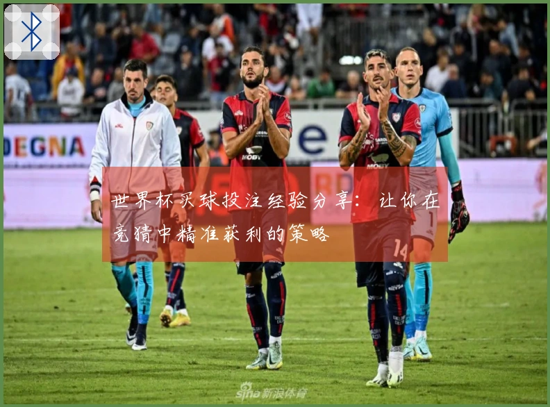 世界杯买球投注经验分享：让你在竞猜中精准获利的策略
