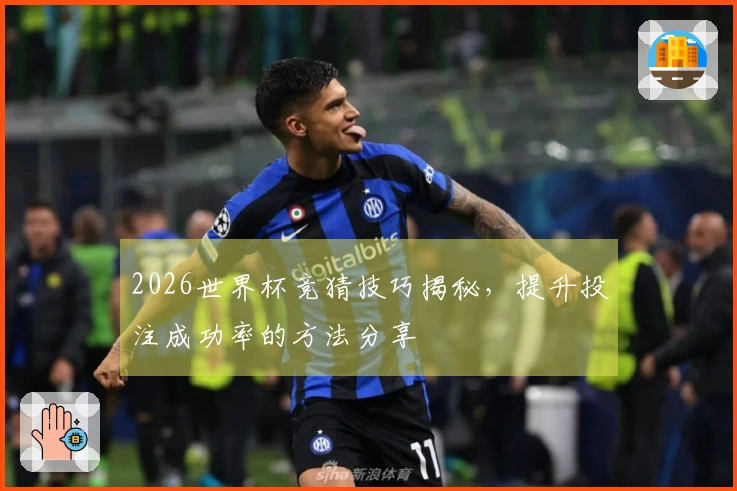 2026世界杯竞猜技巧揭秘，提升投注成功率的方法分享