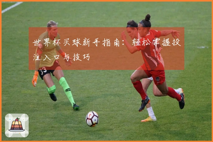 世界杯买球新手指南：轻松掌握投注入口与技巧