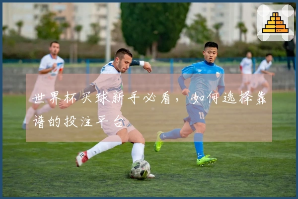 世界杯买球新手必看，如何选择靠谱的投注平台